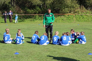 9游app-新加坡队在国际乒联混合团体世界杯的战术执行力与技术突破，乒乓 新加坡